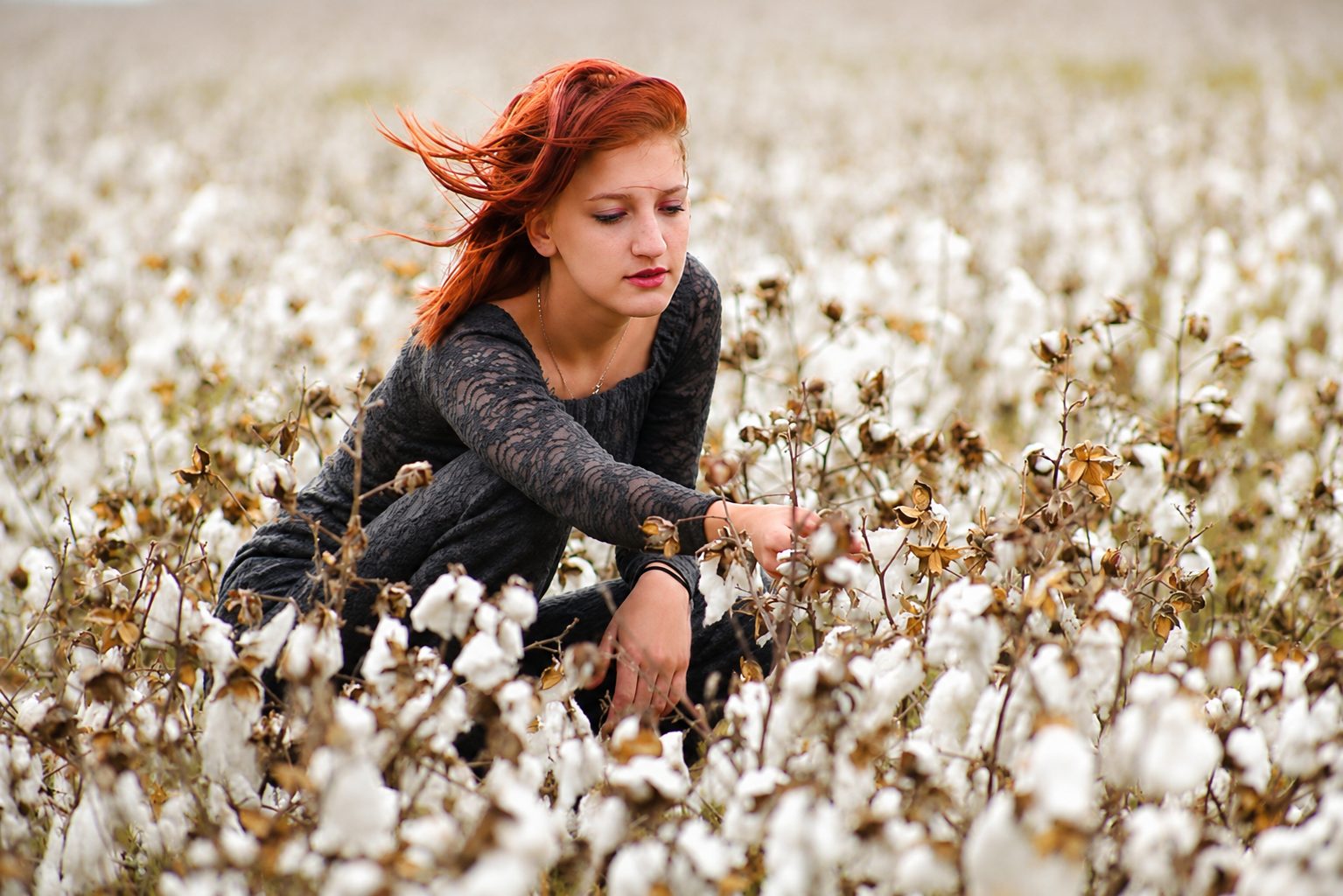 Portrait of a young woman kneeling in a field of cotton at harvest