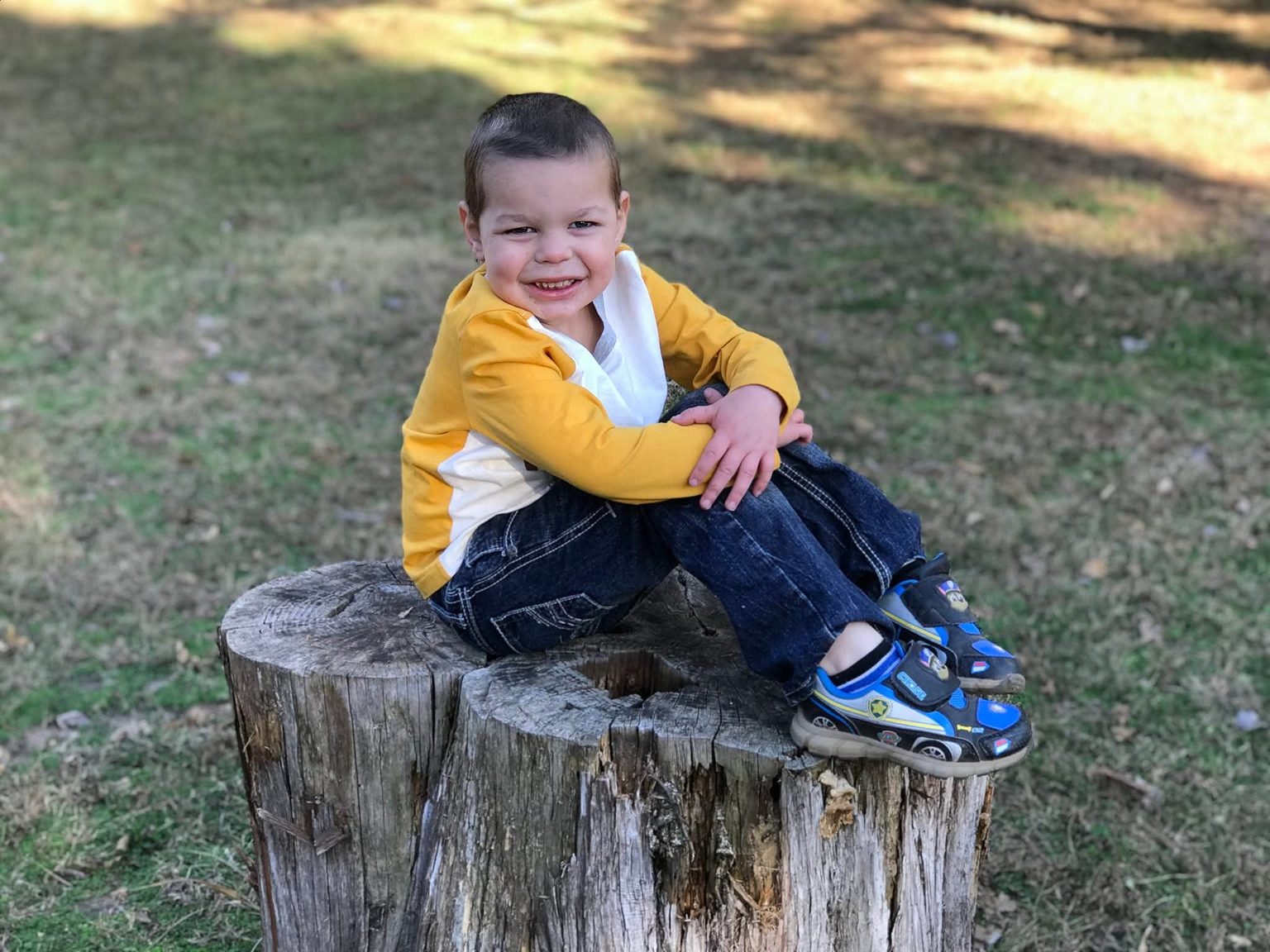Toddler in a mustard cardigan perched on a tree stump